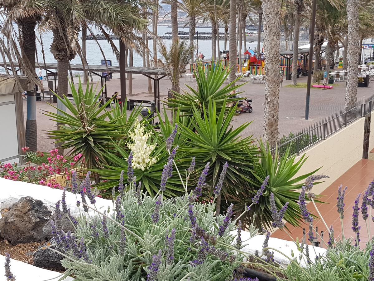 Vila Lavanda Playa de las Americas  Exteriér fotografie