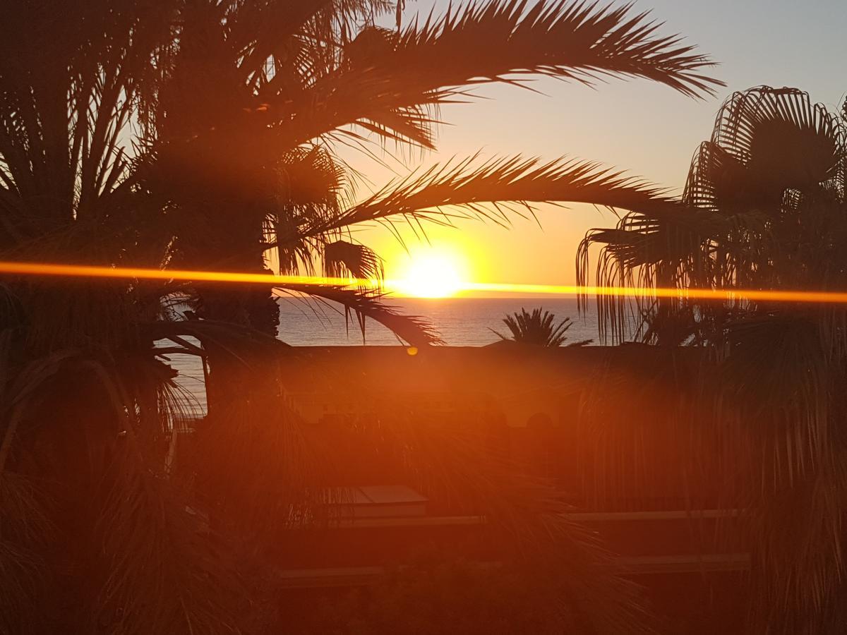 Vila Lavanda Playa de las Americas  Exteriér fotografie